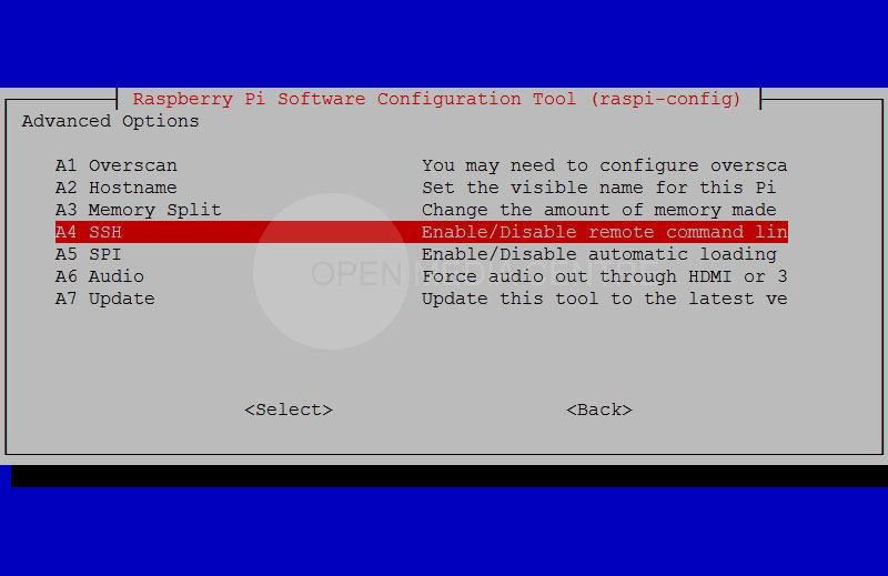 After you run ./rapi-config utility, go the the "Advanced Options," Go down to the SSH option and then select enable to turn on secure shell access for remote administration.